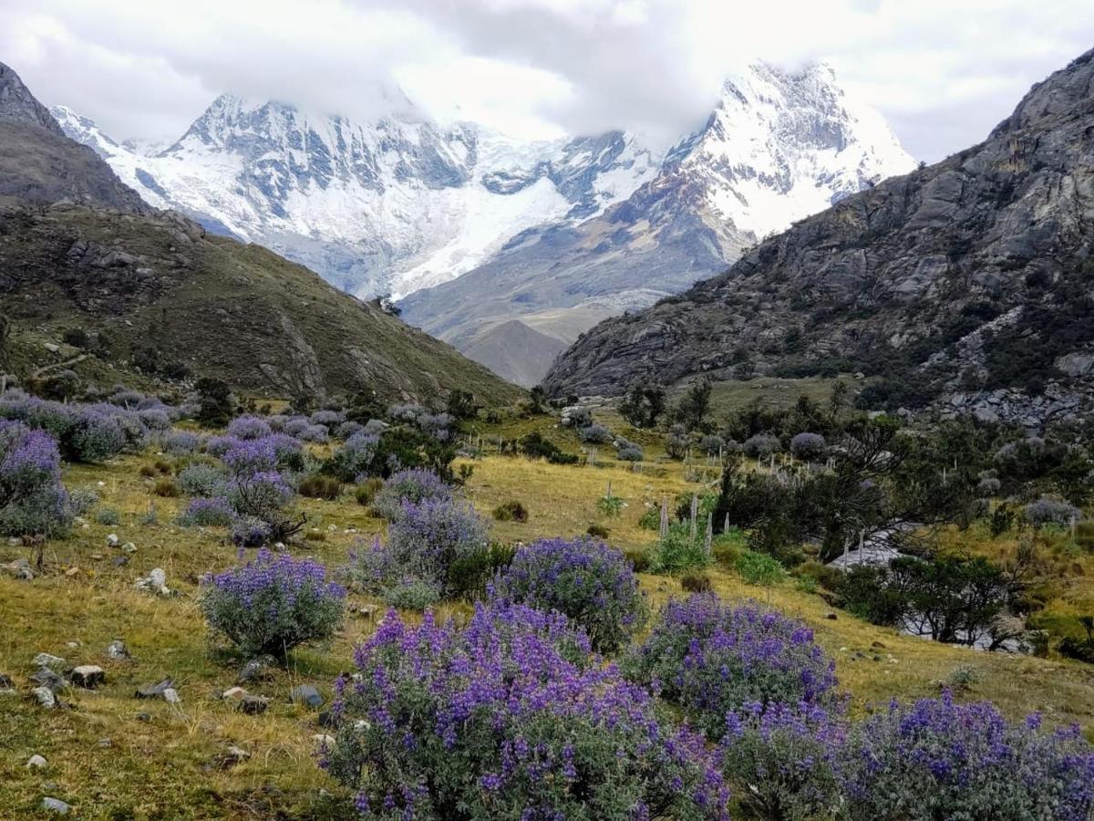 Lhotse Hostel B&B Huaraz  Bagian luar foto
